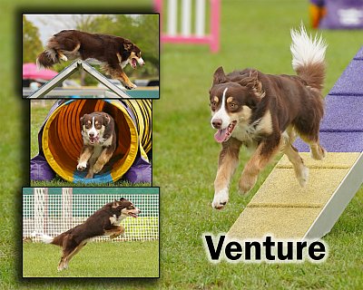 Venture2026.jpg