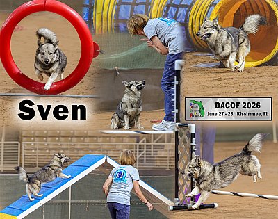 DACOF26_Sven.jpg