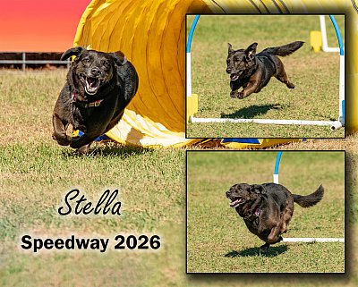 Stella2026.jpg